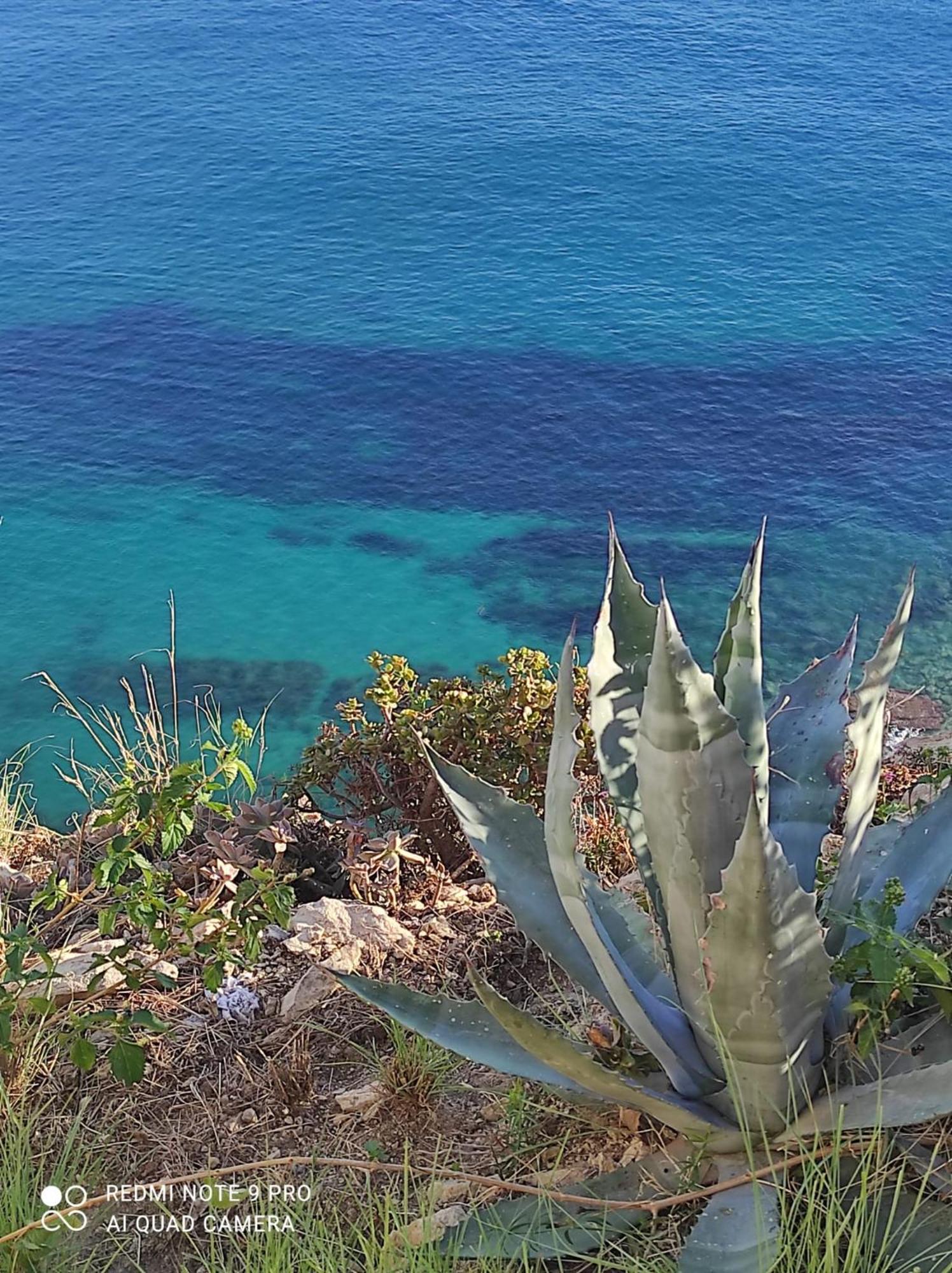 L'Aunisa Villa El Campello Exteriör bild